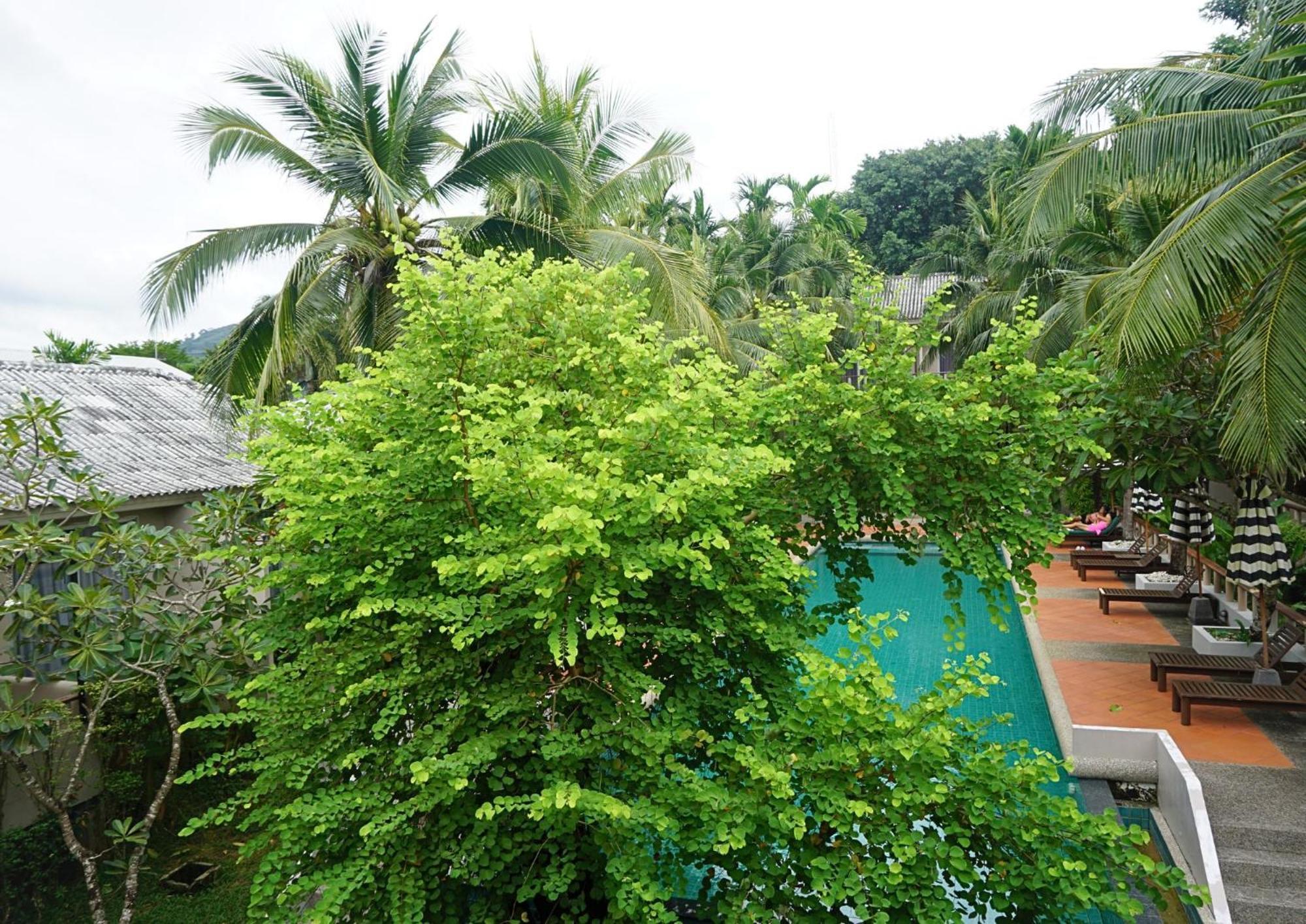 Signature Phuket Resort Chalong Luaran gambar